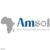 AFRICA MANAGEMENT SOLUTIONS LTD